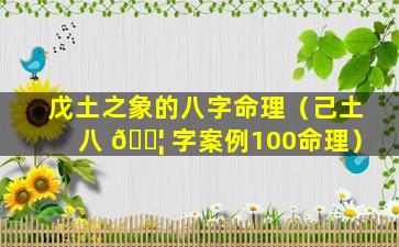 戊土之象的八字命理（己土八 🐦 字案例100命理）